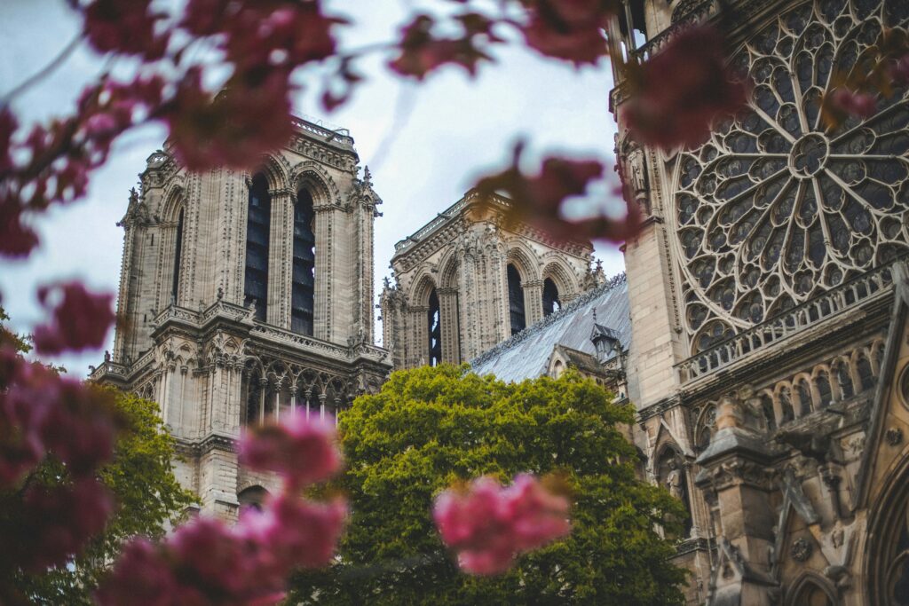 Notre Dame Cathedral in Paris with vibrant spring blossoms framing the historic architecture.