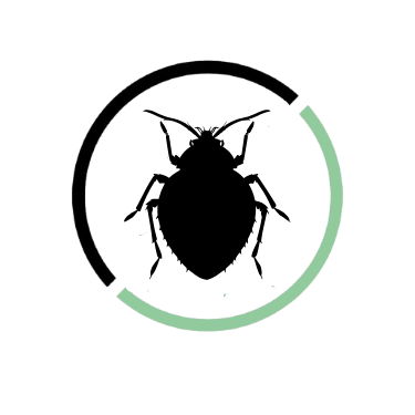 punaises de lit 1.png