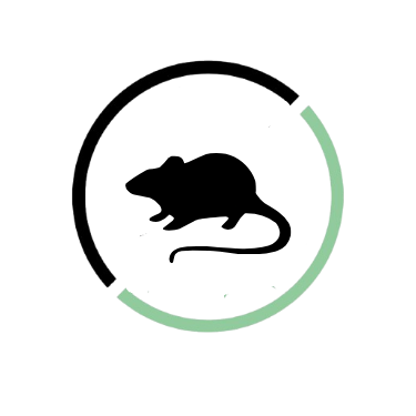 rat et souris 1 1.png