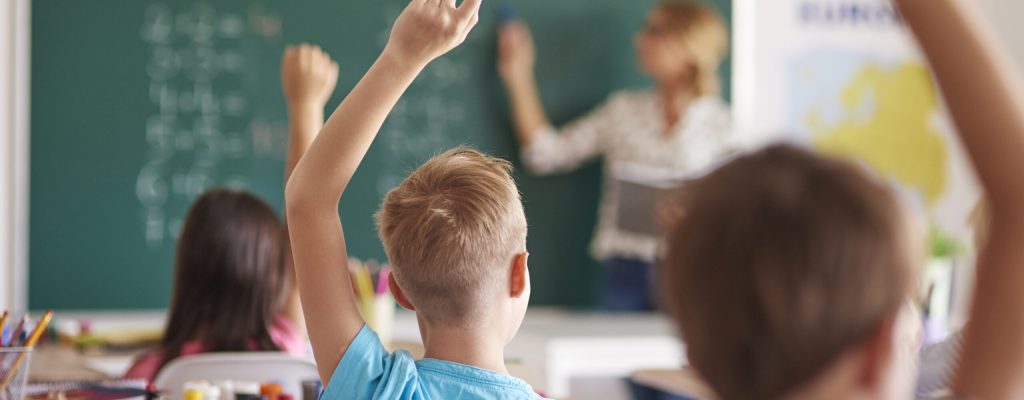 Solutions anti-nuisibles pour les établissements publics en Île-de-France​ Experts Nuisibles IDF